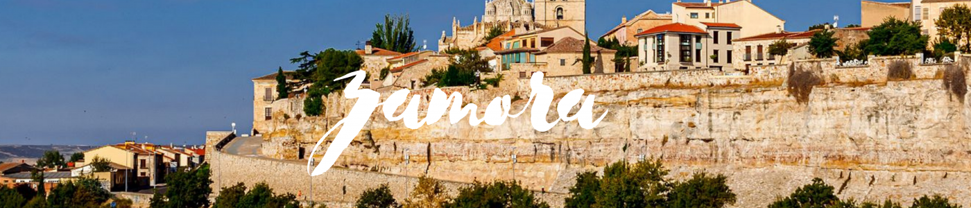 zamora