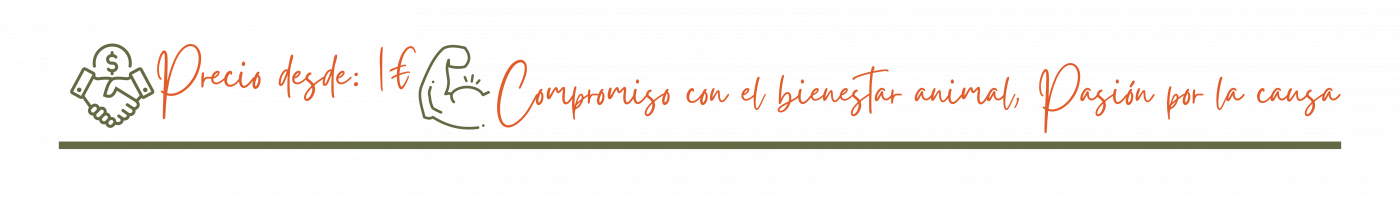 elarca