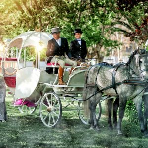 Equituria Eventos