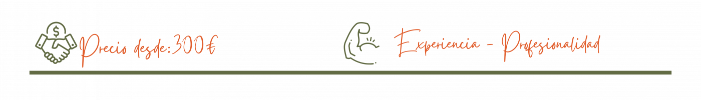 ct