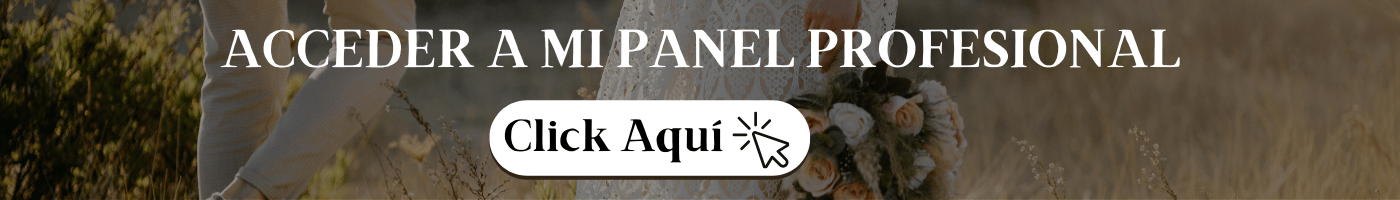 ACCEDER A MI PANEL PROFESIONAL
