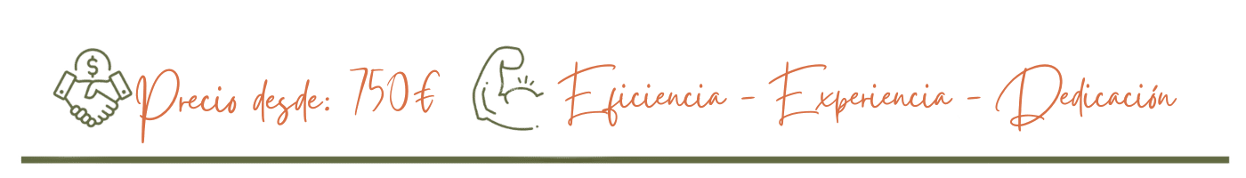 Precio desde