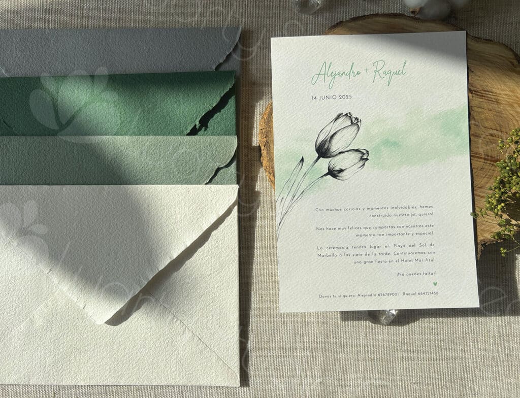 Luarty Studio Creativo