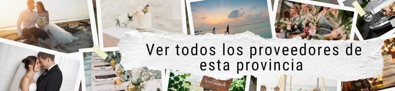 teamprovicias