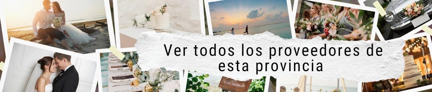 teamprovicias