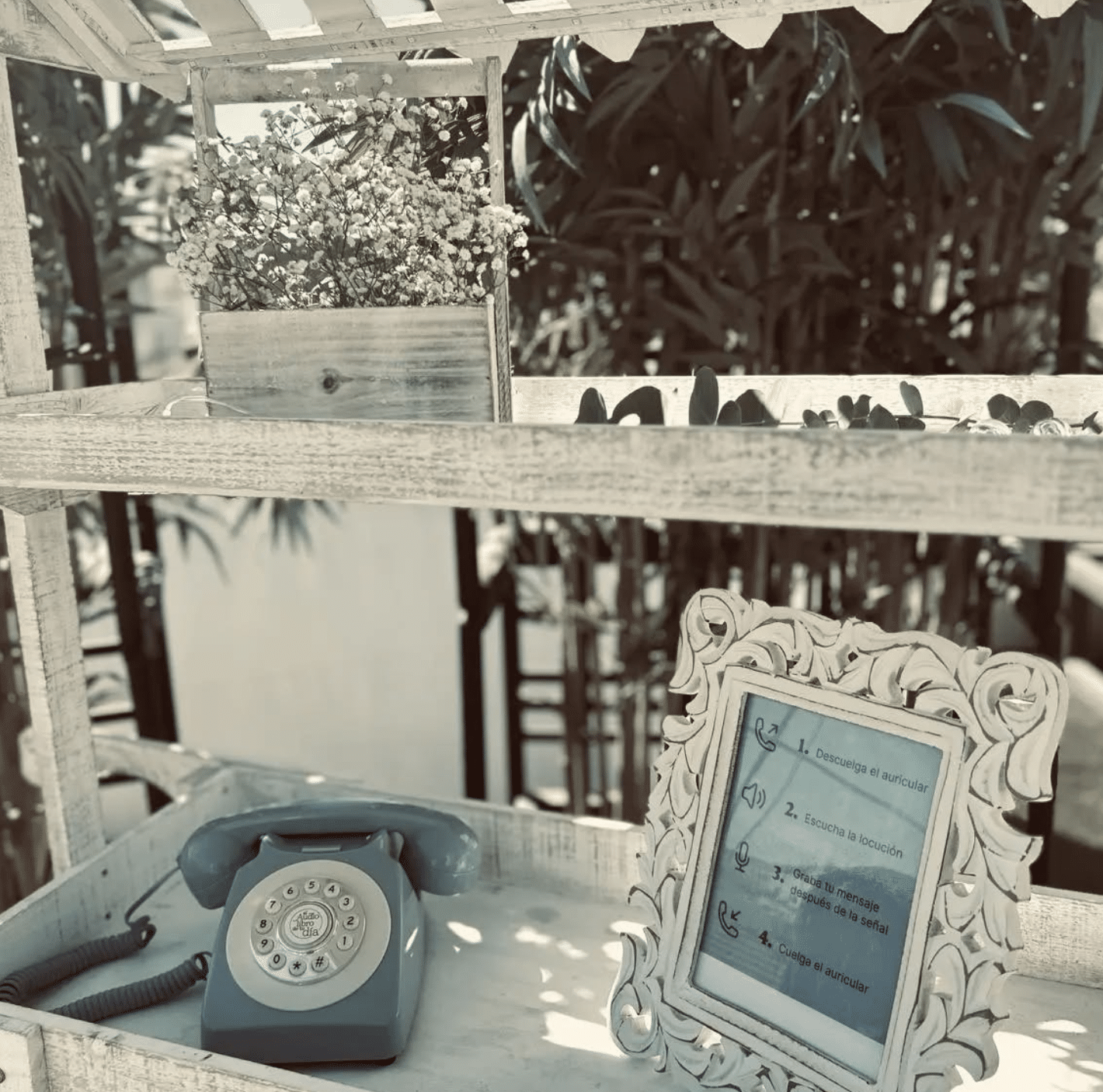 Captura de pantalla 2025-11-05 a las 18.39.00 Captura de pantalla 2025-11-05 a las 18.39.00