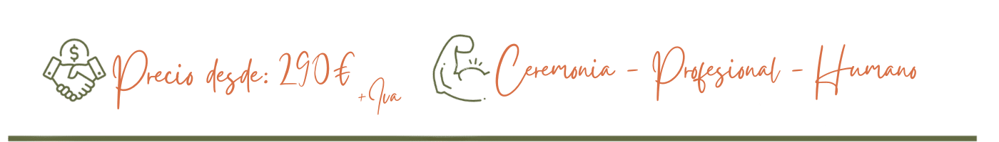 Precio desde Precio desde