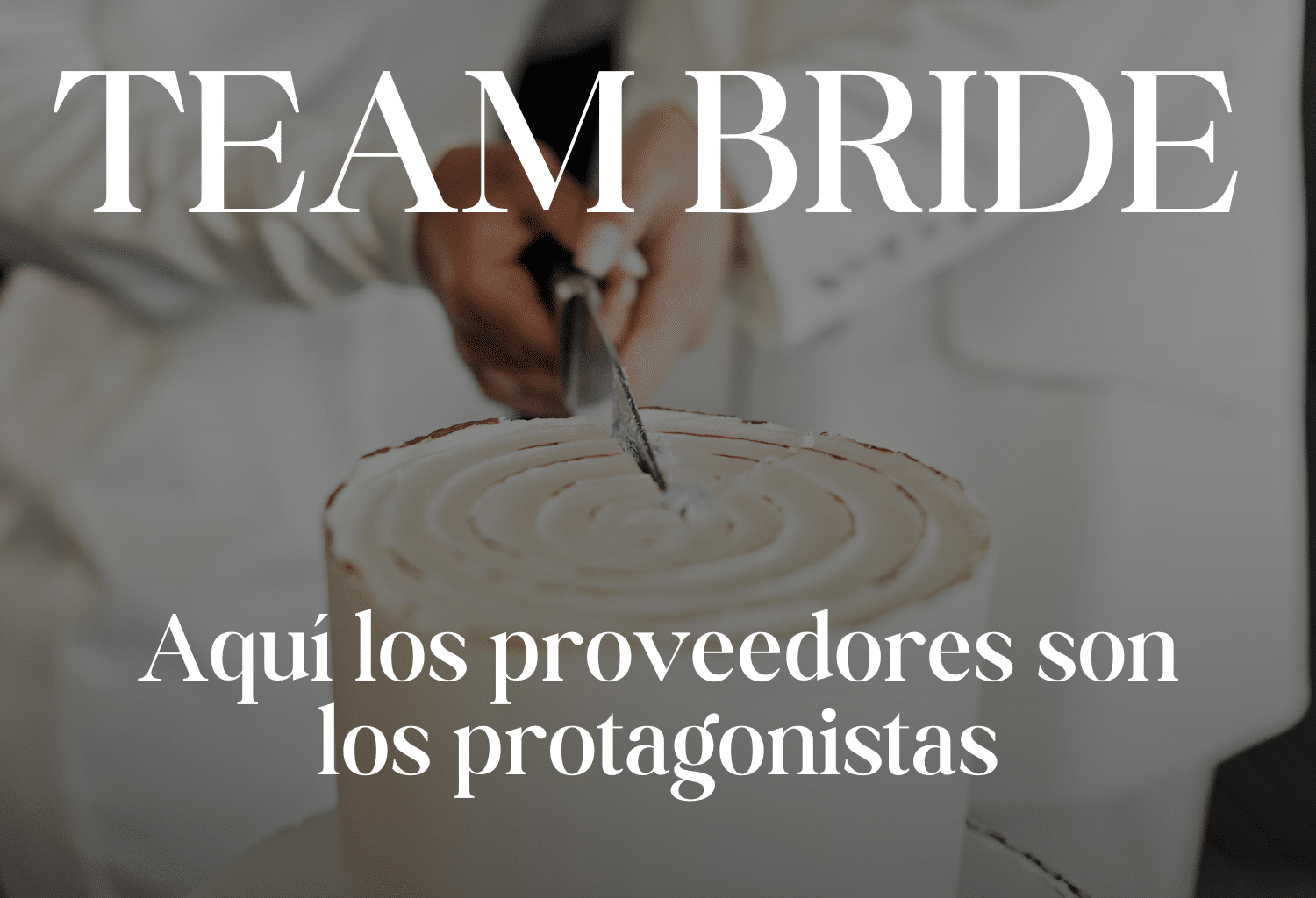 teambrideproveedores teambrideproveedores