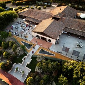 OLIVAR DE SANTA TERESA