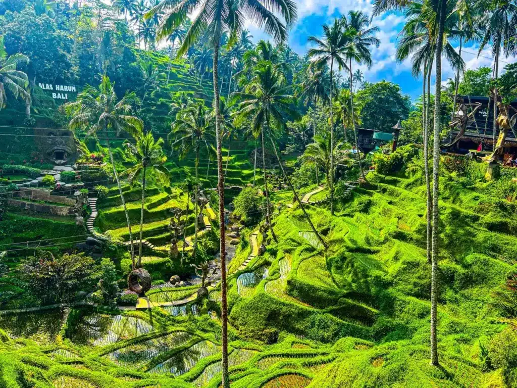 Nelmoratravel