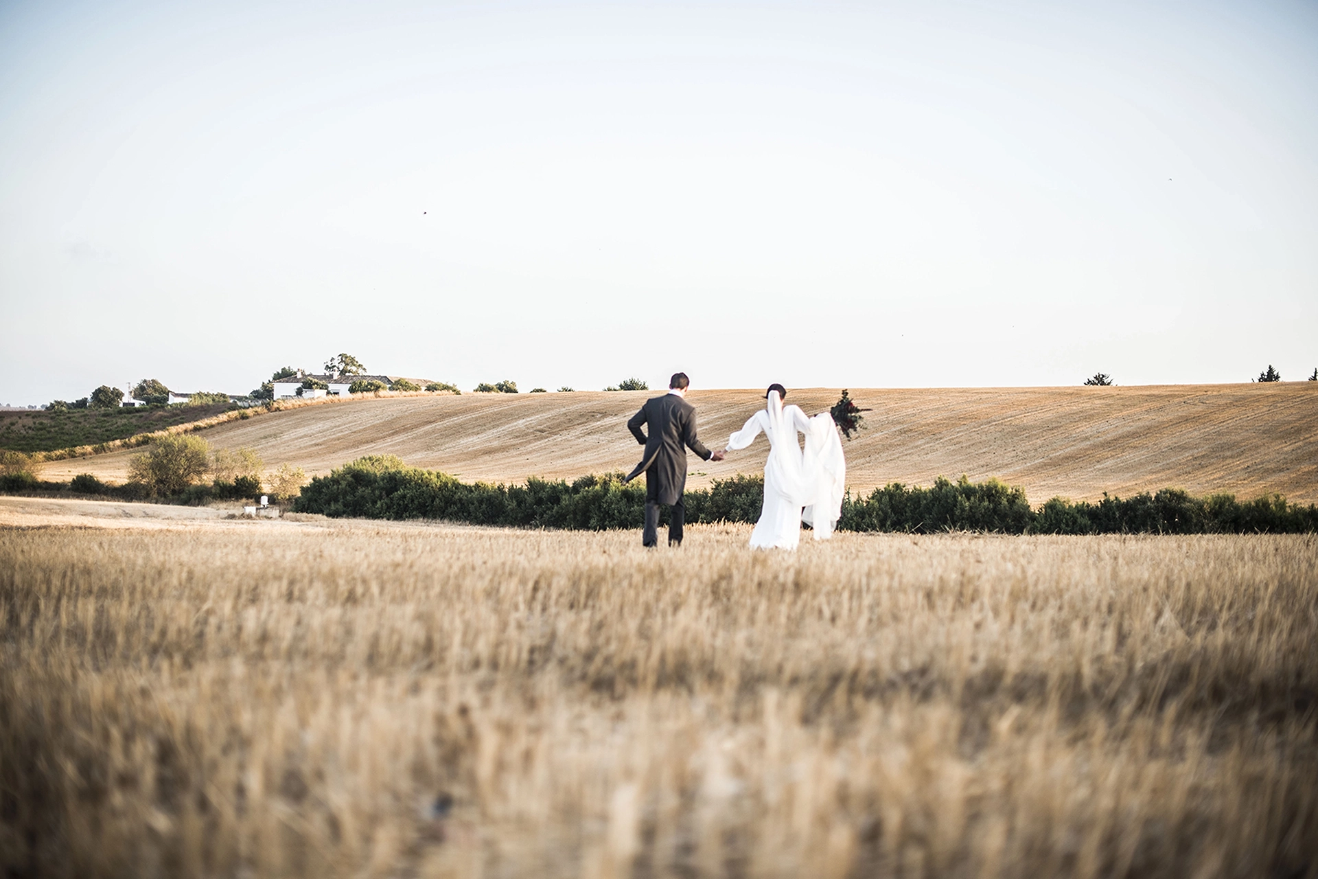 lolaperez-estudio-de-fotografia-en-sevilla-fotos-boda-04 Pareja vestida de boda caminando de la mano por un campo de trigo al atardecer.